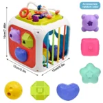 Chunky Shape Sorter Cube